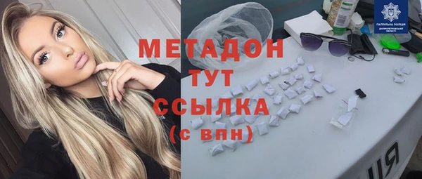 сатива Новозыбков