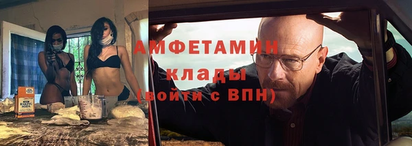 сатива Новозыбков