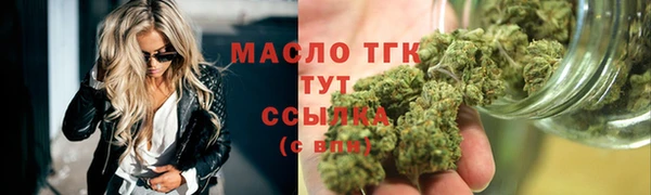 сатива Новозыбков