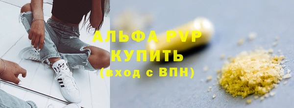 сатива Новозыбков