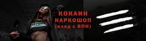 сатива Новозыбков