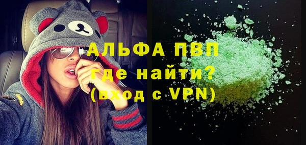 сатива Новозыбков