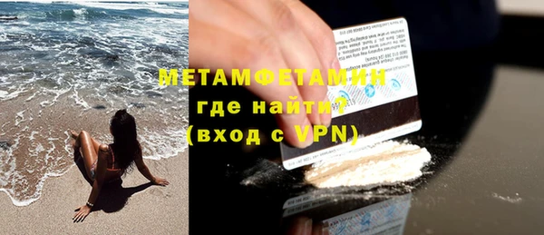сатива Новозыбков