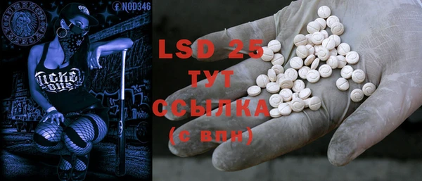 сатива Новозыбков