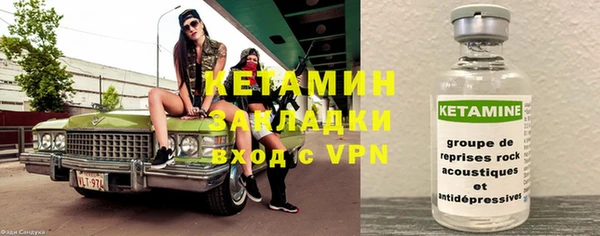 сатива Новозыбков