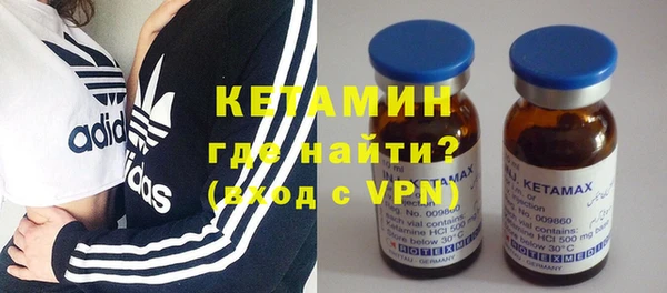 сатива Новозыбков