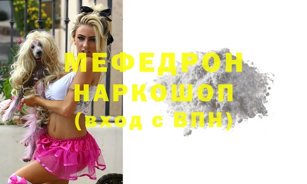 сатива Новозыбков