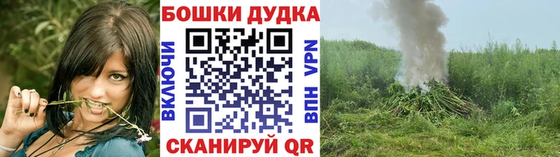 Бошки марихуана марихуана  Южно-Сухокумск 